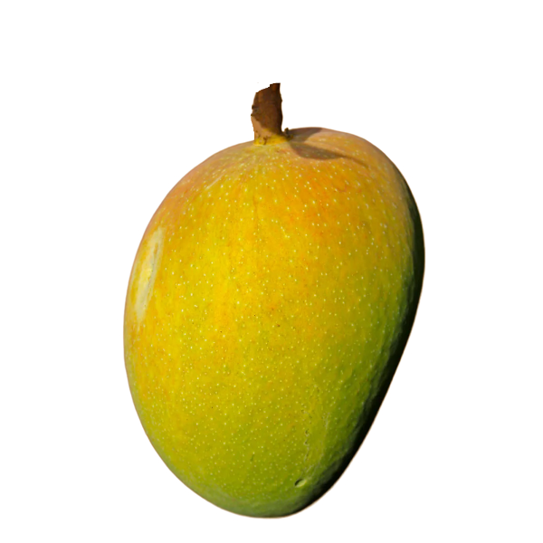 Alphonso (badami)