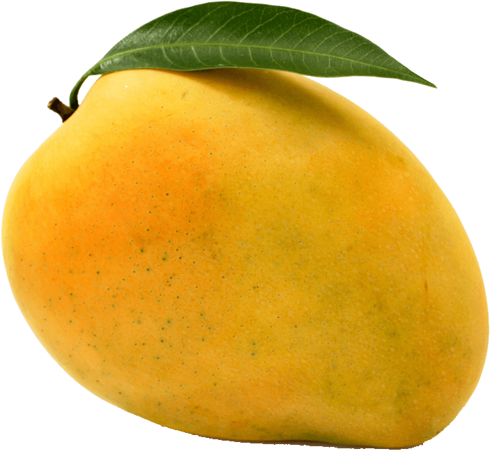 Banganapalli (Baneesha/Benisha)