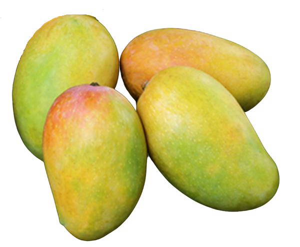 Kesar