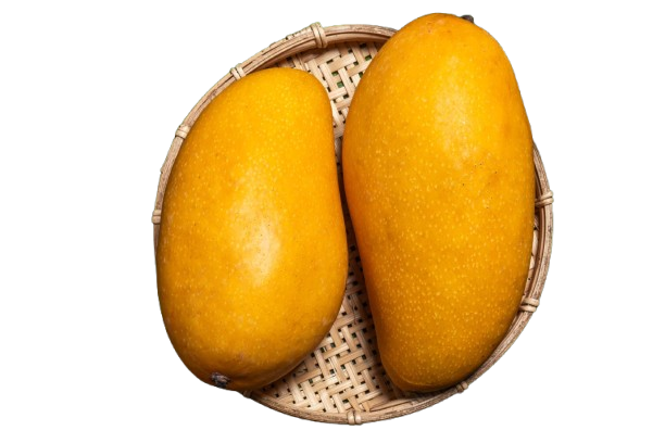 Mallika
