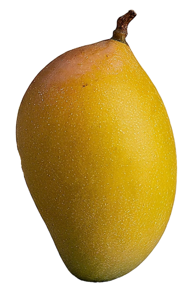 Totapuri
