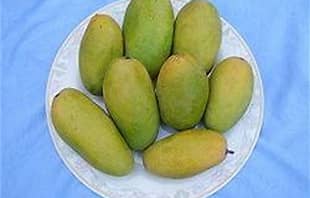 Dusheri