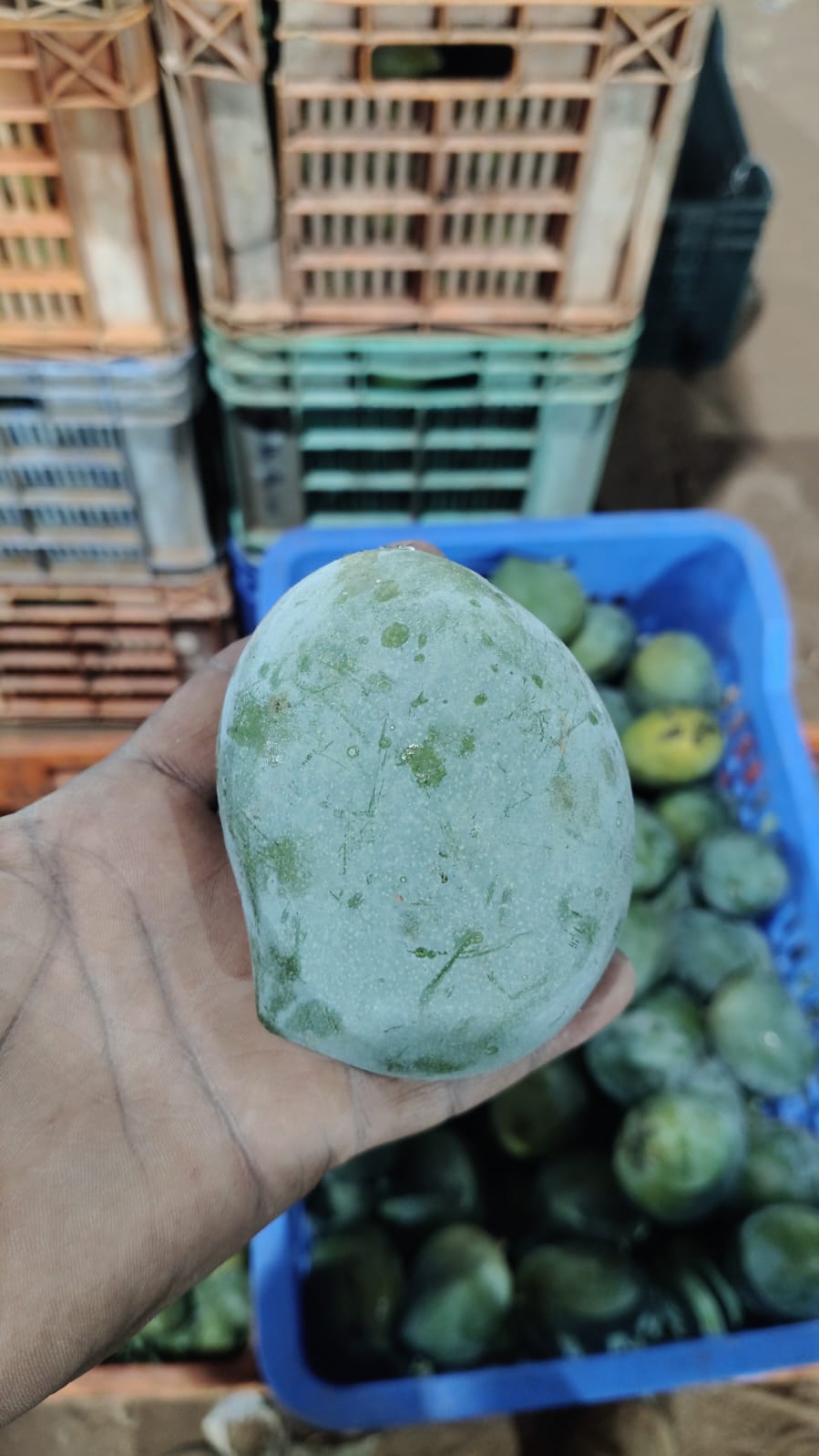 Kalapad