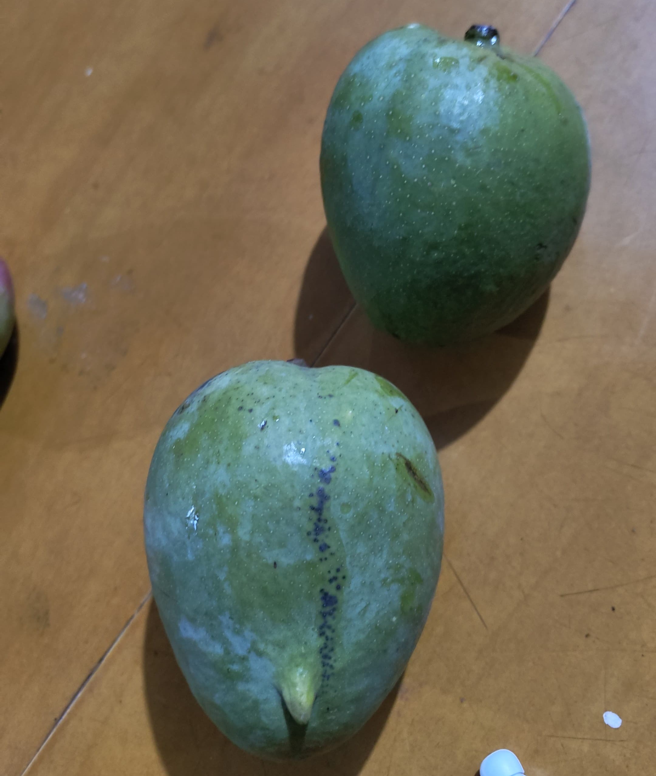 Malagoba